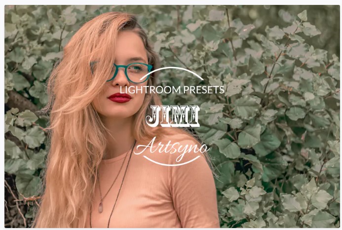 [Elements.Envato] Jimi Lightroom Presets Dekstop a_0.jpg
